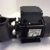 Waterways Hottub Pump