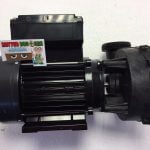 waterway high flow pump
